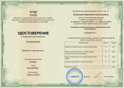 Диплом или сертификат Вероники Климцовой, 41