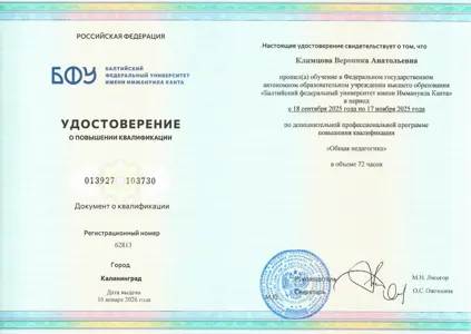 Диплом или сертификат Вероники Климцовой, 49